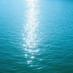 月影婆娑醉清风