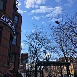 La Vanille_A cappella ver.