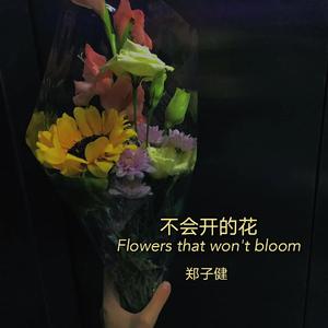 不会开的花