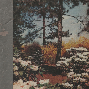 Still Waiting/Doom on the Horizon