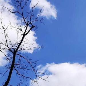 扰乱过半生思念