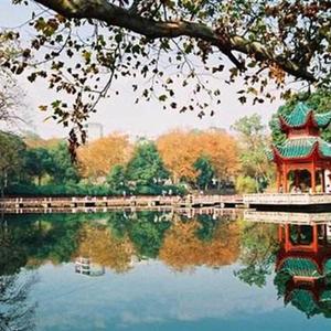 不一样的夏天（全国青少年高校科学营中南大学分营营歌）