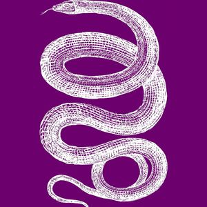 Helen`s Golden Veil (Echoes of Yul Remix)