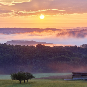 ひかりのなかで