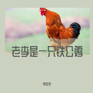 老李是只铁公鸡