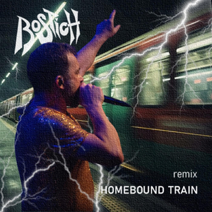 Homebound Train