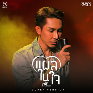 แผลในใจ (Cover Version)