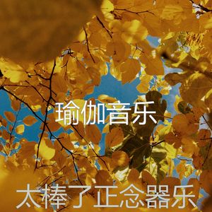 一尘不染养生印象数