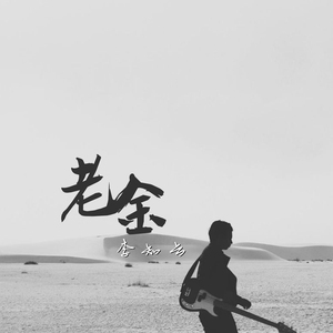 老金 (正式版)