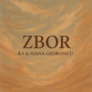Zbor