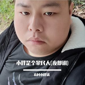小胖是个黎民人(夜郎调)