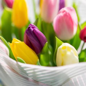 お祝いしようね