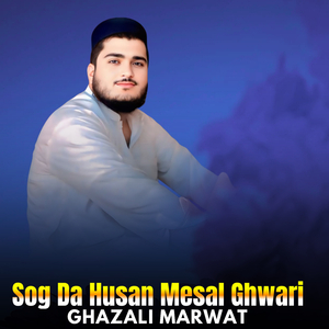 Sog Da Husan Mesal Ghwari