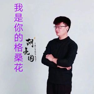 王琪-我是你的格桑花（胡亮国 remix）