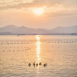 夏日海面上的夕阳