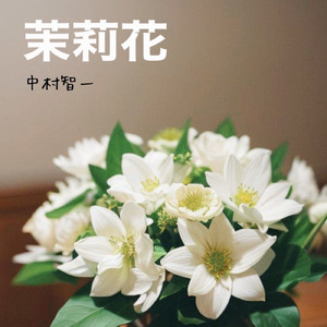 茉莉花