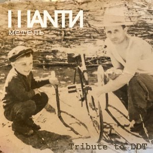 Метель (Tribute to DDT)