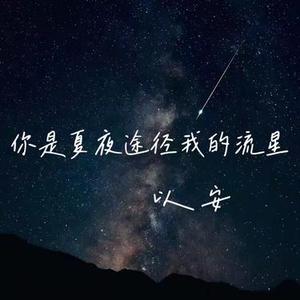 你是夏夜途径我的流星 (0.9X男版)