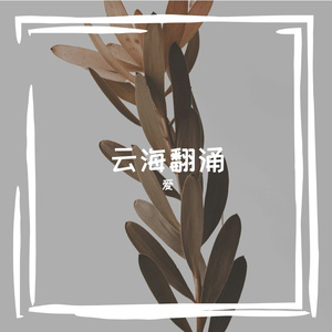 发梢缠绕的晨光