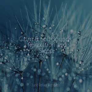 Whispers of Tranquil Dreams