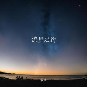 流星之约