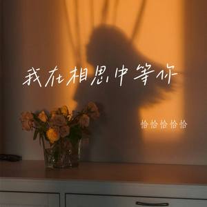 我在相思中等你