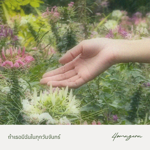 ถ้าเธอมีฉันในทุกวันจันทร์