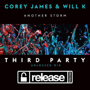 Another Storm (Third Party Unlocked Extended Mix)