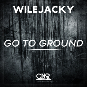 Go To Ground (Original Mix)