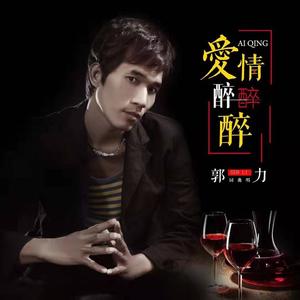 爱情醉醉醉 (DJ何友版)