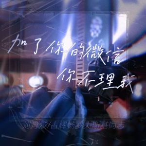 加了你的微信你不理我
