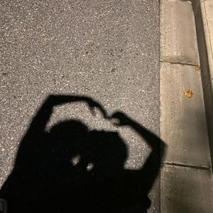 X prod.by房间里的大象