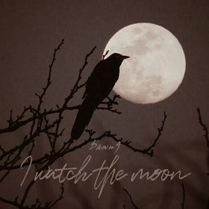 I watch the moon