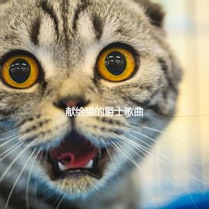 Smoky Music for Cat Anxieties