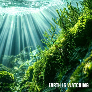 Earth Is Watching