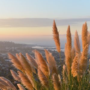 微妙的水疗护理心情