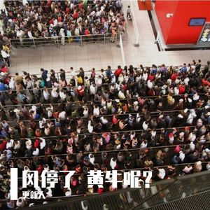风停了 黄牛呢？