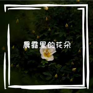 来杯年的时