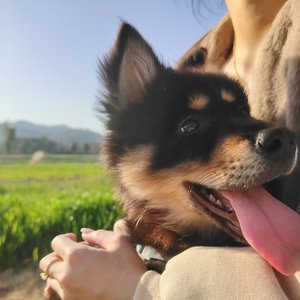 你眼里有整片星群