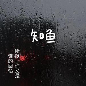你在谁的回忆里头