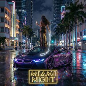 MIAMI NIGHT