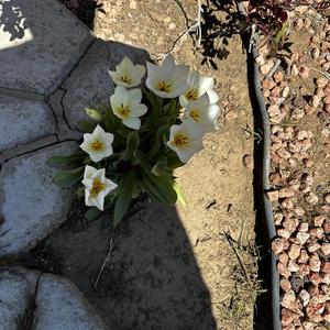 When The Wait Is Over