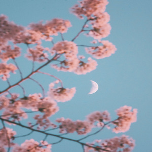 Chand Sitaare