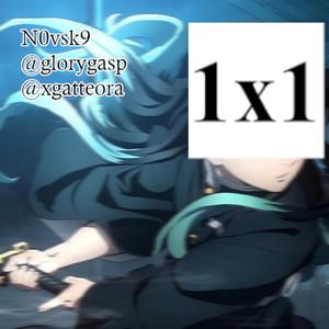 1х1