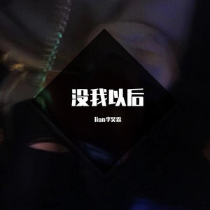 没我以后