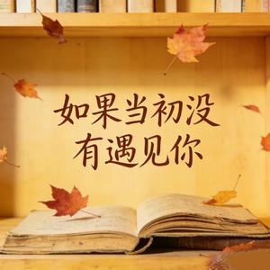 如果当初没有遇见你