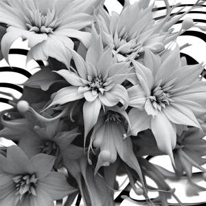 Youdontreallycare (: