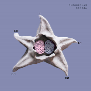Биполярная звезда