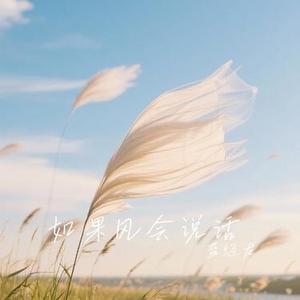 你路过我的温柔
