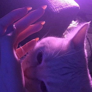 Calendar (Original Mix)